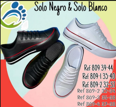 Cliente PoliEva
