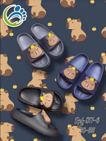 Slides Oso